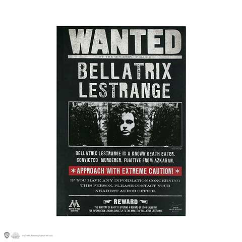 Taccuino Harry Potter Bellatrix